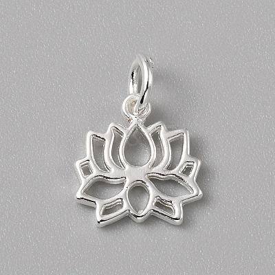 Brass Charms LS-FIND-WH0159-63S-05-1