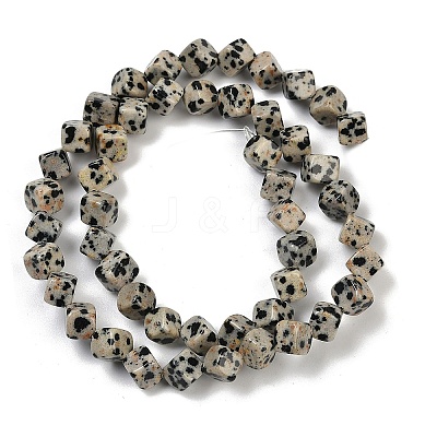 Natural Dalmatian Jasper Beads Strands G-A257-A17-01-1