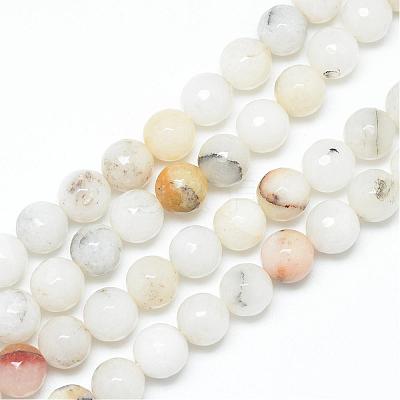 Natural Agate Bead Strands G-R346-10mm-26-1
