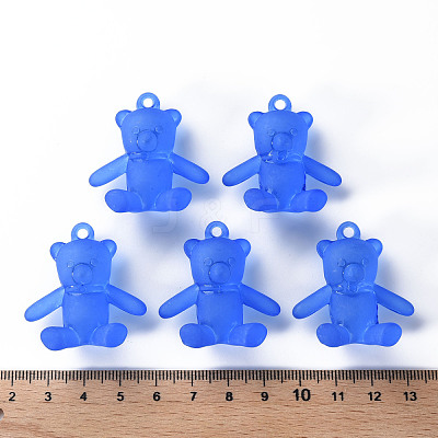 Frosted Acrylic Pendants MACR-S373-60K-06-1