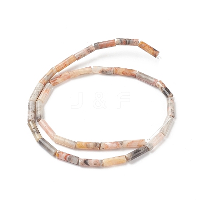 Natural Crazy Lace Agate Beads Strands G-F247-33-1