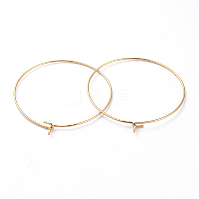 316 Surgical Stainless Steel Hoop Earring Findings X-STAS-J025-01E-G-1