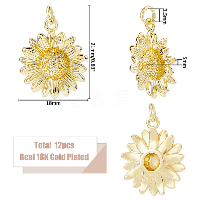 12Pcs Brass Pendants KK-HS0015-35-1