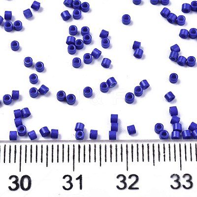 FGB 11/0 Grade A Glass Seed Beads X-SEED-S030-1024-1