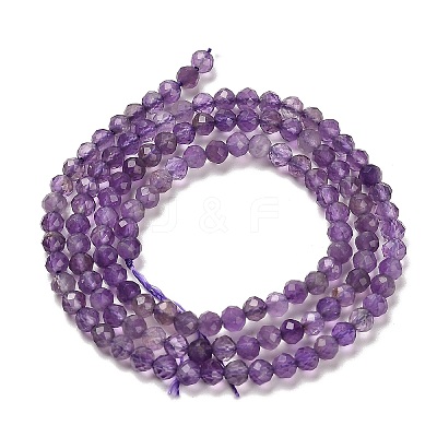 Natural Amethyst Beads Strands X-G-K373-B03-03-1