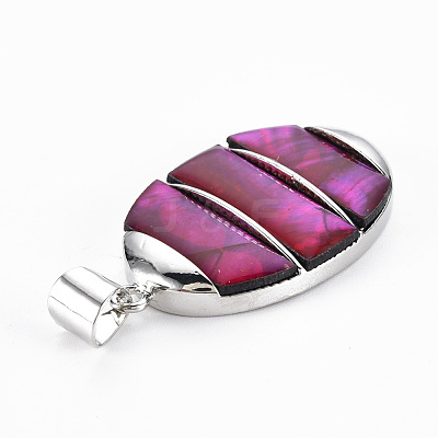 Natural Abalone Shell/Paua Shell Big Pendants SHEL-N333-009A-B02-1
