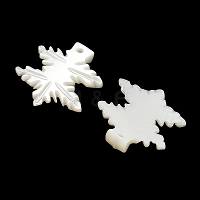 Natural White Shell Pendants BSHE-G034-30-1