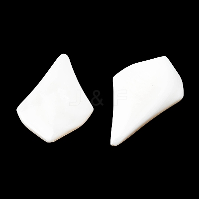 Natural Freshwater Shell Cabochons SHEL-K006-04-1
