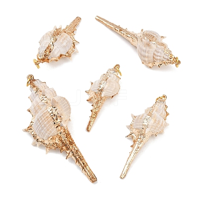 5Pcs Electroplated Natural Shell Pendants BSHE-YW0001-11-1