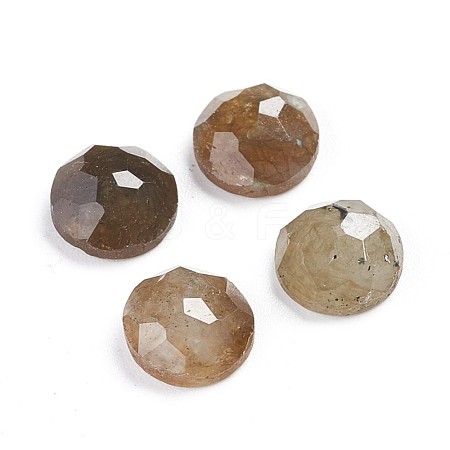 Natural Labradorite Cabochons G-F680-G05-1