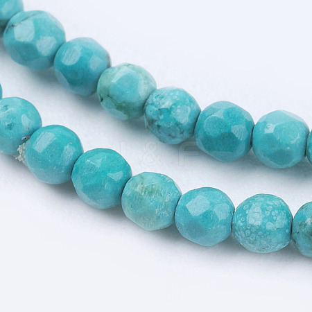 Natural Magnesite Beads Strands TURQ-L028-01-1