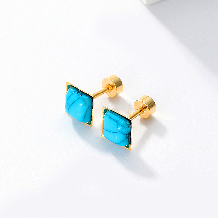 Elegant and Cute Turquoise Earrings for Women RC1135-1