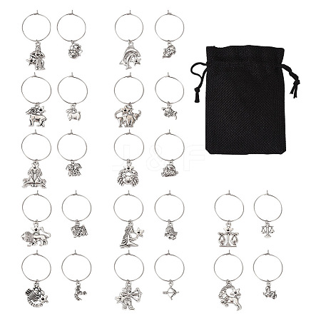 48Pcs 24 Style 12 Constellations Alloy Wine Glass Charms with Rhinestone AJEW-TAC00002-1