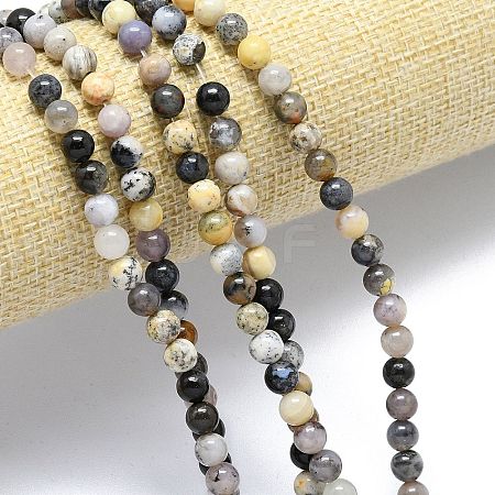 Natural Dendritic Opal Beads Strands G-R494-A23-02A-1