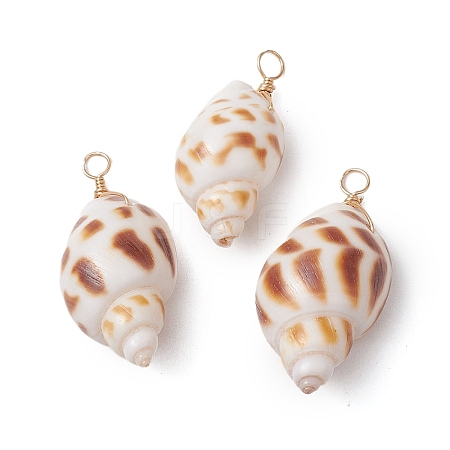 Natural Spiral Shell Pendants PALLOY-JF02949-1