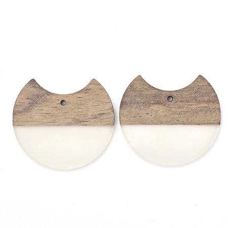 Resin & Walnut Wood Pendants RESI-T023-11B-1