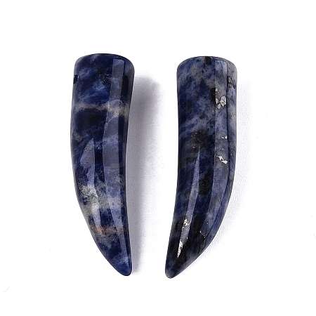 Natural Sodalite Pendants G-Q602-10D-1