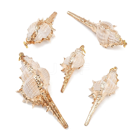 5Pcs Electroplated Natural Shell Pendants BSHE-YW0001-11-1