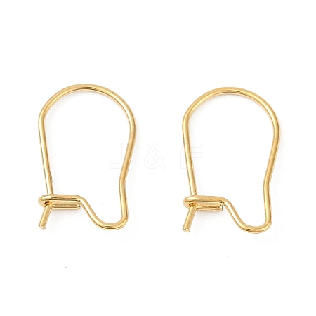 304 Stainless Steel Hoop Earring Findings STAS-P223-01G-06-1