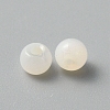 Handmade Lampwork Beads LAMP-TAC0001-05K-2