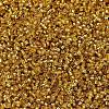 MIYUKI Delica Beads SEED-MY11-DB2157-3
