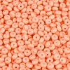 Opaque Glass Seed Beads SEED-N012-09A-10-3