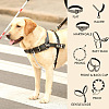 304 Stainless Steel Cable 
Chain Dog Collar Safety Clips DIY-AB00026-4