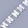 Sea Shell Beads X-SHEL-T012-60N-2