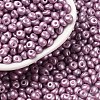 6/0 Glass Seed Beads X1-SEED-L011-08A-29-1