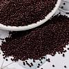 MIYUKI Round Rocailles Beads SEED-G009-RR0419-1