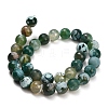 Natural Fire Crackle Agate(Dyed & Heated) Beads Strands G-K425-A08-12mm-5