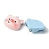 Opaque Resin Pendants RESI-P039-02B-2