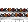 Natural Tiger Iron & Synthetic Hematite Beads Strands G-H1581-10mm-4