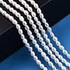 Natural Cultured Freshwater Pearl Beads Strands PEAR-N012-02L-2