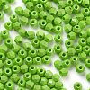 Baking Paint Glass Seed Beads X1-SEED-A032-02A-3