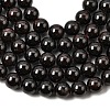 Natural Garnet Gemstone Bead Strands X-G-R263-10mm-3