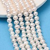 Natural Cultured Freshwater Pearl Beads Strands PA-CBABE82-15D-1