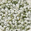 Baking Paint Glass Seed Beads SEED-F006-01A-05-3