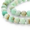 Natural Chrysoprase Beads Strands G-S333-10mm-037-3