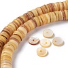 Natural Freshwater Shell Beads Strands X-BSHE-I016-04B-4