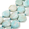 Natural Amazonite Beads Strands G-P319-22-1