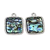 304 Stainless Steel & Natural Paua Shell Pendants SH-CBA7184-01G-P-1