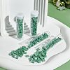520Pcs 2 Style 2-Hole Glass Seed Beads SEED-NB0001-72B-7