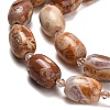 Natural Agate Beads Strands G-F811-B02-03-4