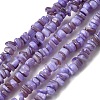 Natural Freshwater Shell Beads SHEL-B003-01L-1