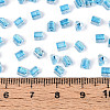 Transparent Inside Colours Glass Seed Beads SEED-T007-13L-4