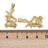 Brass Pendants KK-I358-057G-01-3