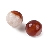 Natural Agate Sphere Beads GG-D003-A11-02-2