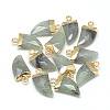 Natural Labradorite Pointed Pendants X-G-Q966-02-1