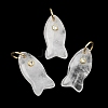 Natural Quartz Crystal Pendants X-G-A297-01G-14-1